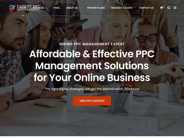 expertppcmanagement.com